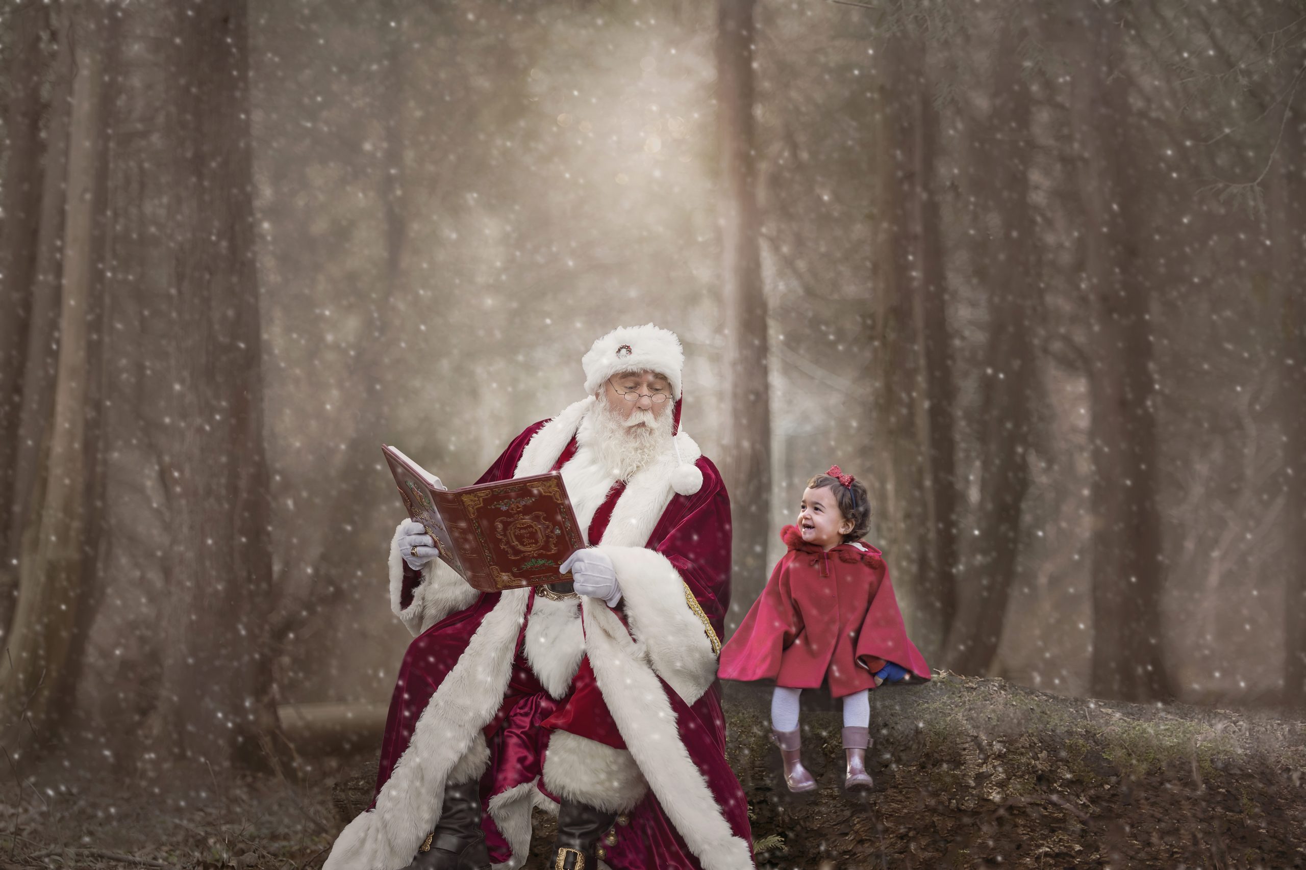 Christmas Santa photo